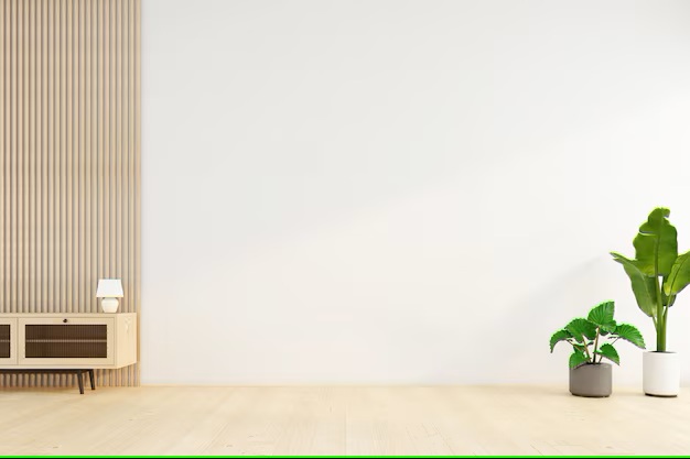 minimalist-empty-room-with-white-wall-green-plant